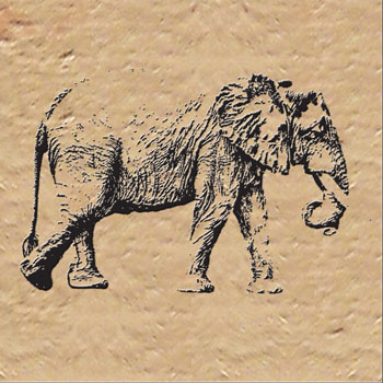 Mosaic House Moroccan tile CH_Elephant A 6 Black  chiseled field 